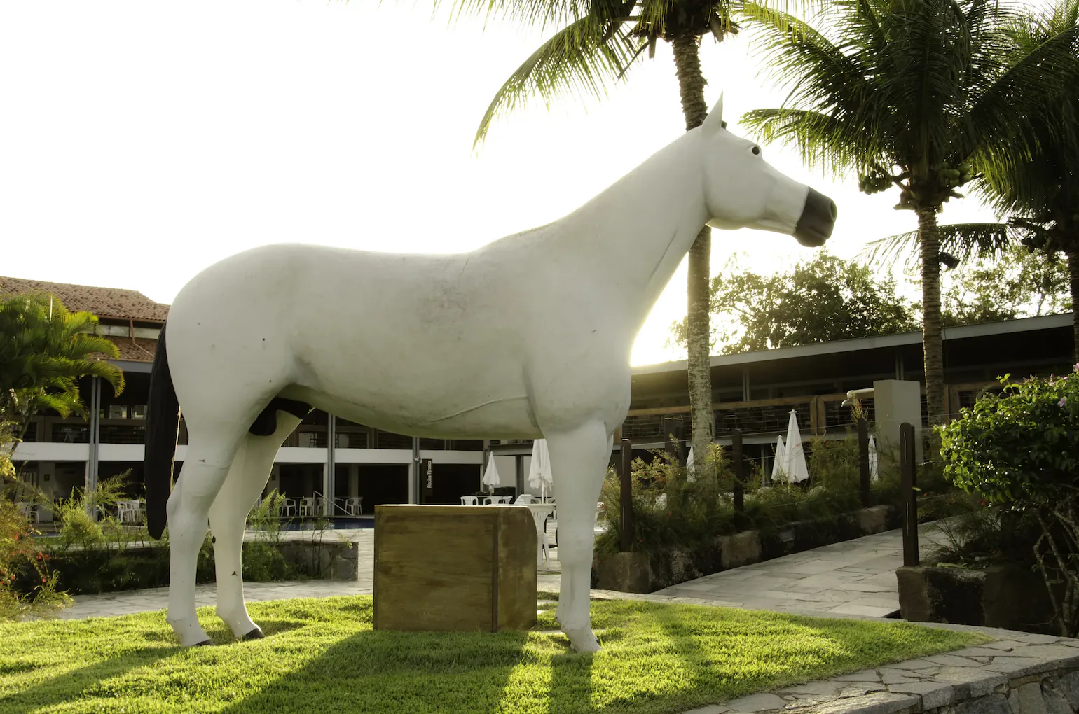 Escultura do cavalo branco do Portal de Gravatá ao entardecer, entre palmeiras